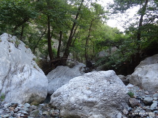 stoleone-09-08-2020 09
